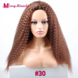 Afro Kinky Curly Hair Wigs