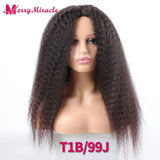 Afro Kinky Curly Hair Wigs