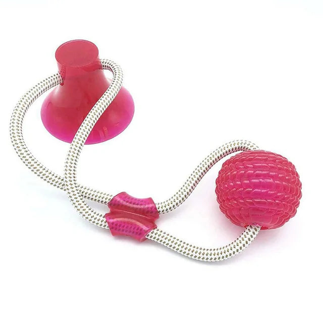 Pet Dog Toys Silicon Suction Cup